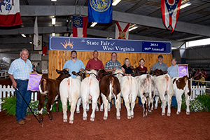 SM-WVSF-22-GC-Heifer-122-Rose-Lass